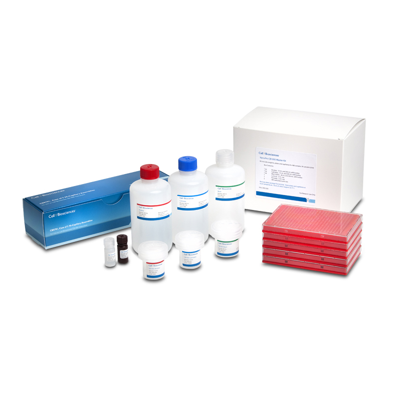 ProteinSimple XDR Charge Separation Master Kit for Peggy Sue, Peggy or NanoPro 1000 for Simple Western