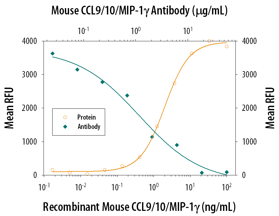 Chemotaxis Induced by CCL9/10/MIP‑1 gamma and Neutral-ization by Mouse CCL9/10/ MIP‑1 gamma Antibody.