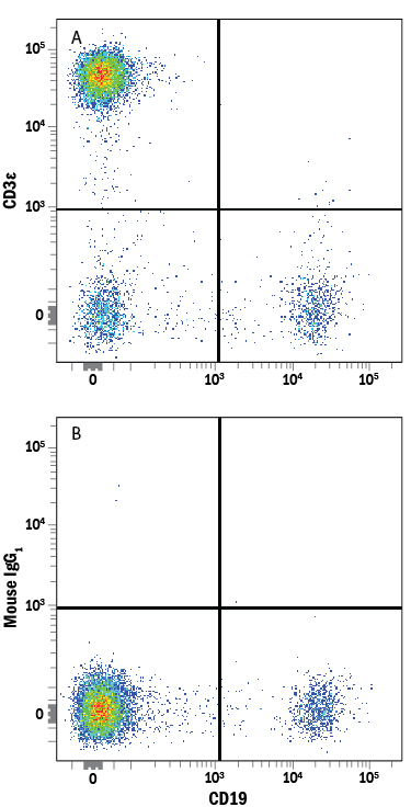 Detection of CD3e antibody in Human Blood Lymphocytes antibody by Flow Cytometry.