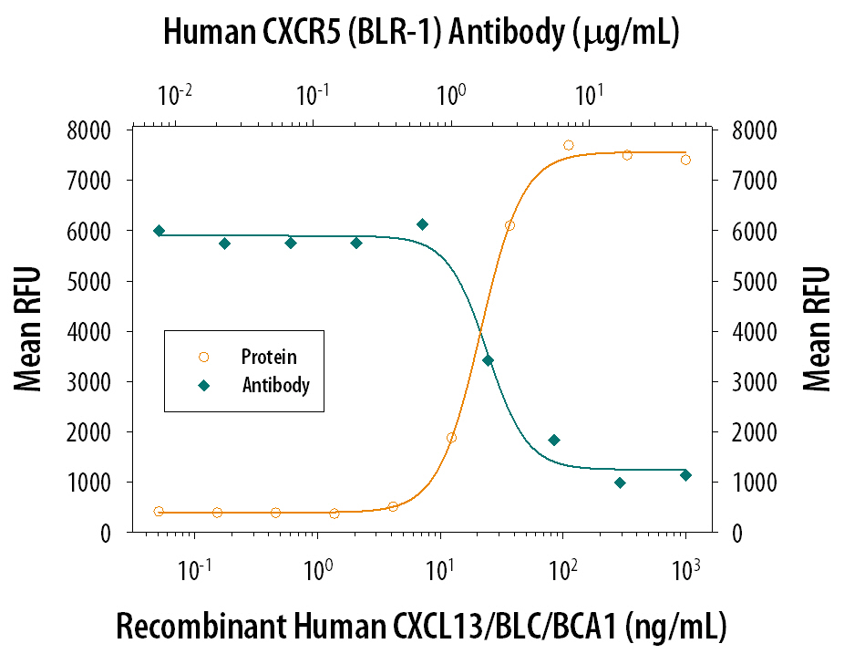 Chemotaxis Induced by CXCL13/BLC/BCA‑1 and Neutralization by Human CXCR5 Antibody.
