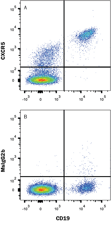 Detection of CXCR5 antibody in CD19+ Human PBMCs antibody by Flow Cytometry.