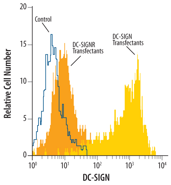 Detection of DC‑SIGN antibody in Human DC‑SIGN Transfected 3T3 Mouse Cell Line antibody by Flow Cytometry.