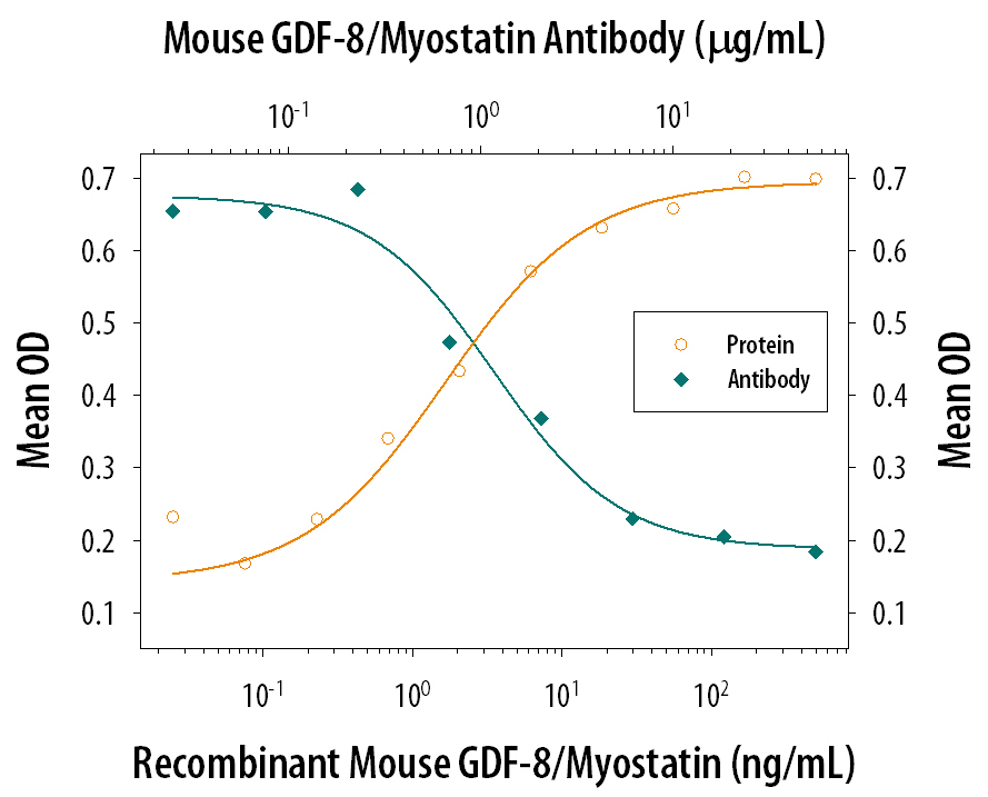 Hemoglobin Expression Induced by GDF‑8/Myostatin and Neutralization by Mouse GDF‑8/Myostatin Antibody.