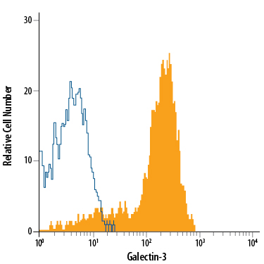 Detection of Galectin-3 antibody in Human Blood Monocytes antibody by Flow Cytometry.