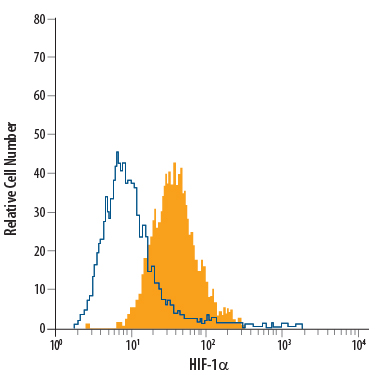 Detection of HIF-1a antibody in MCF-7 Human Cell Line antibody by Flow Cytometry.