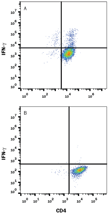 Detection of IFN-? antibody in Mouse Splenoctyes antibody by Flow Cytometry.