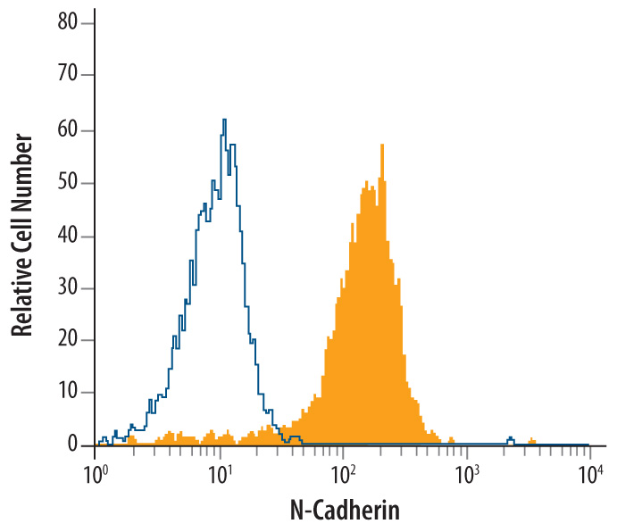 Detection of N-Cadherin antibody in HeLa Human Cell Line antibody by Flow Cytometry.