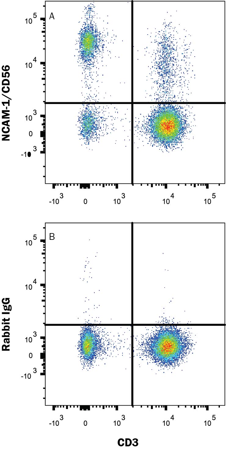 Detection of NCAM-1/CD56 antibody in Human Peripheral Blood antibody by Flow Cytometry.
