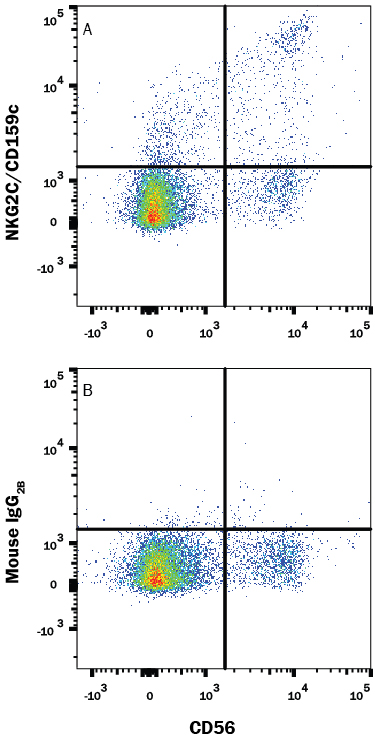 Human NKG2C/CD159c Antibody (MAB1381) | Bio-Techne