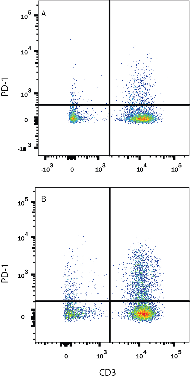 Detection of PD-1 antibody in Human PBMCs treated with PHA antibody by Flow Cytometry.
