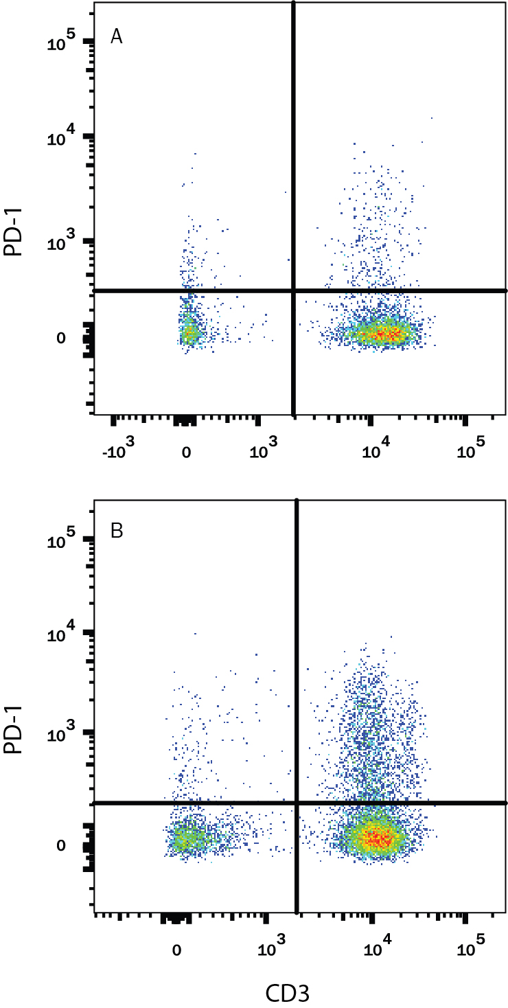 Detection of PD-1 antibody in Human PBMCs treated with PHA antibody by Flow Cytometry.