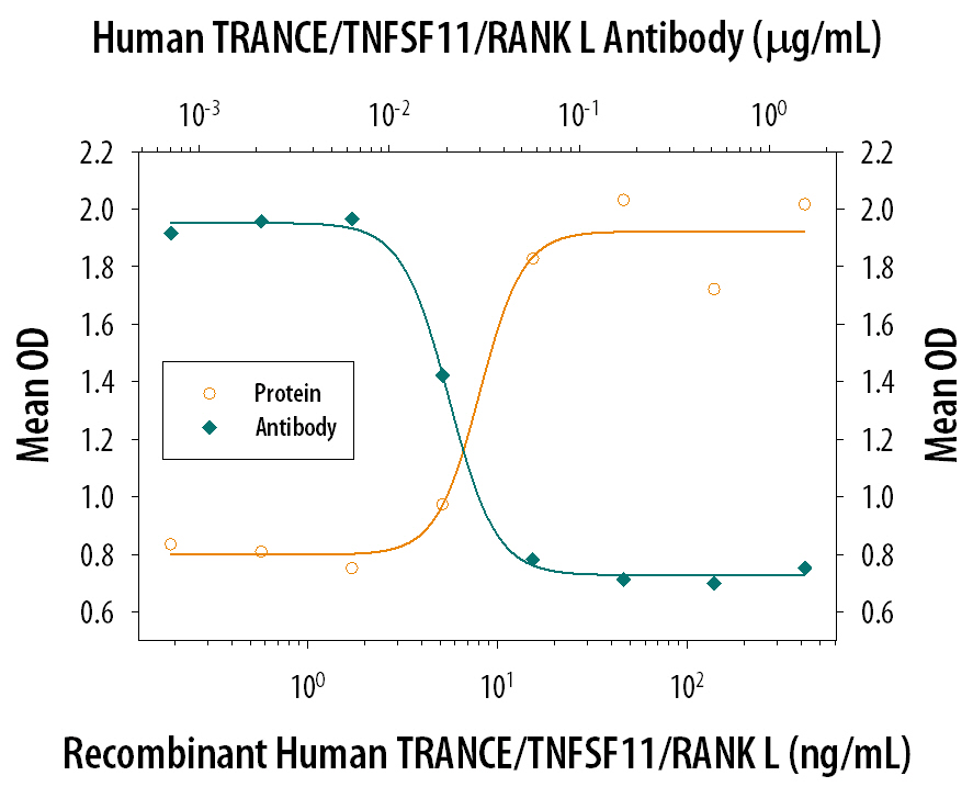 Osteoclast-Like Cell Form-ation Induced by TRANCE/ TNFSF11/RANK L and Neutralization by Human TRANCE/TNFSF11/RANK L Antibody.