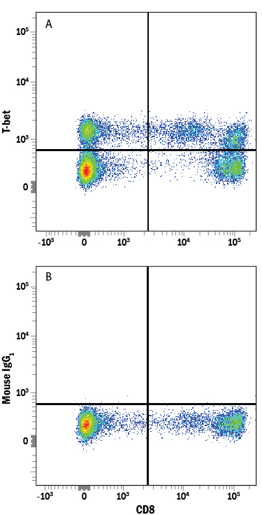 Detection of T‑bet/TBX21 antibody in Human PBMCs antibody by Flow Cytometry.