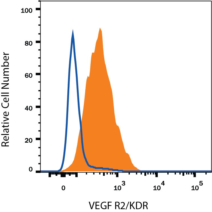 Detection of VEGF R2/KDR/Flk-1 antibody in HUVEC Human Cells antibody by Flow Cytometry.