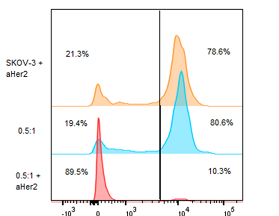 Human Erbb2 Her2 Research Grade Trastuzumab Biosimilar Antibody